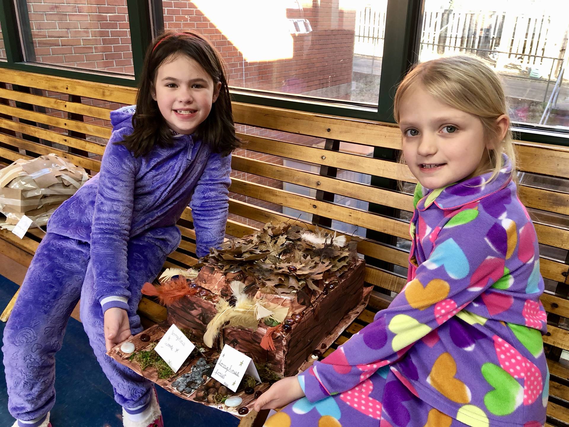 native american projects