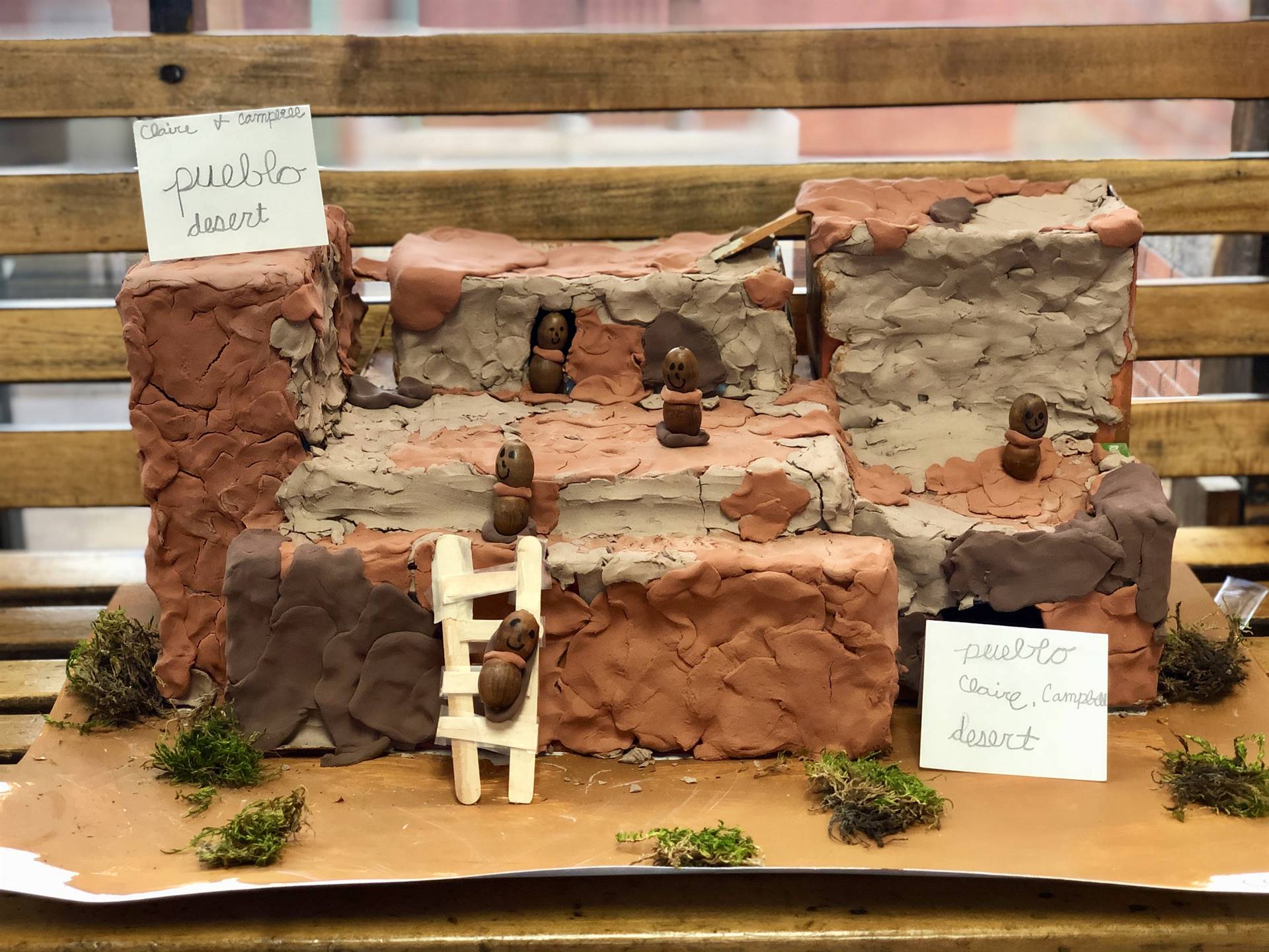 native american projects