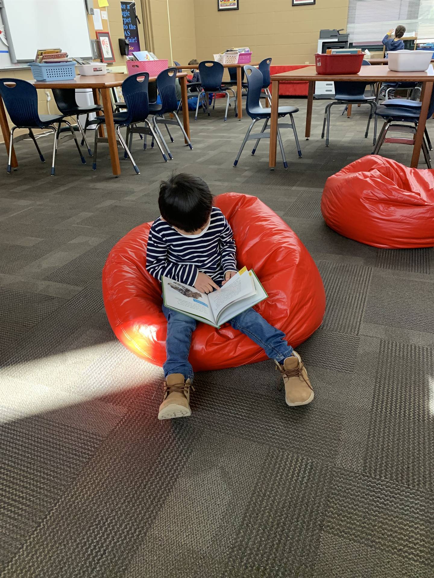 Kindergartener in chair in library reading a book